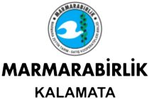 MARMARABIRLIK MAMARMARA ZEYTIN TARIM - SATIS KOOPERATIFLERI BIRLIGI MARABIRLIK KALAMATA