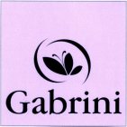 GABRINI