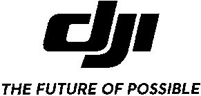 DJI THE FUTURE OF POSSIBLE