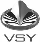 VSY