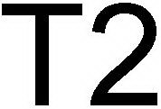 T2