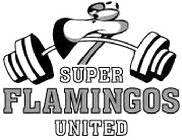 SUPER FLAMINGOS UNITED