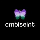 AMBISEINT