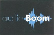 AUDIOBOOM