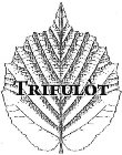 TRIFULÒT