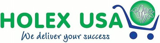 HOLEX USA WE DELIVER YOUR SUCCESS