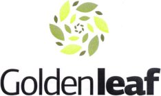 GOLDEN LEAF