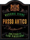 VECCHIE VIGNE PASSO ANTICO VENDEMMIA COLTIVATE CON PASSIONE