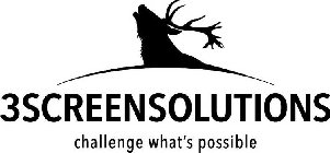 3SCREENSOLUTIONS CHALLENGE WHAT'S POSSIBLELE