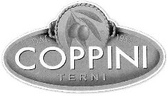 COPPINI TERNI DAL 1955