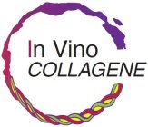 IN VINO COLLAGENE