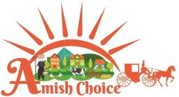 AMISH CHOICE