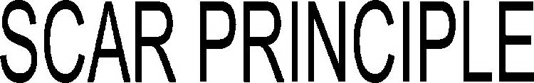 SCAR PRINCIPLE