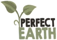 PERFECT EARTH