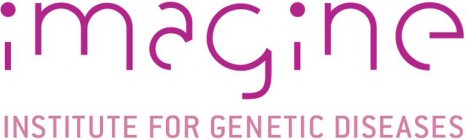 IMAGINE INSTITUTE FOR GENETIC DISEASES