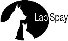 LAP SPAY