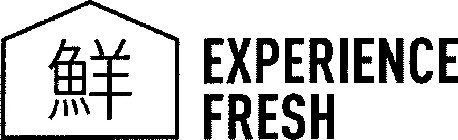 EXPERIENCE FRESH