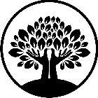 Image Trademark