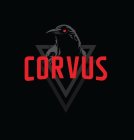 CORVUS