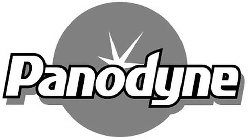 PANODYNE