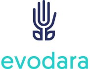 EVODARA