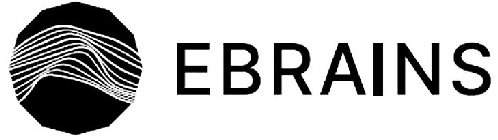 EBRAINS