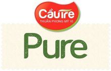 CAU TRE THUAN PHONG MY VI PURE