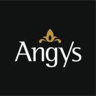 ANGYS