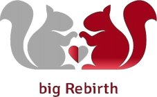 BIG REBIRTH