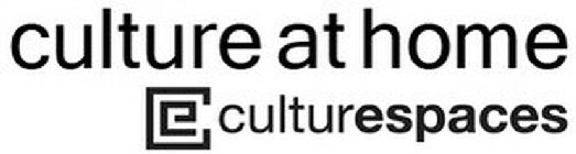 CULTURE@HOME CE CULTURESPACES