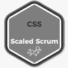 CSS SCALED SCRUM