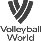 V VOLLEYBALL WORLD