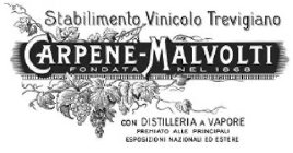 STABILIMENTO VINICOLO TREVIGIANO CARPENE MALVOLTI FONDATA NEL 1868 CON DISTILLERIA A VAPORE PREMIATO ALLE PRINCIPALI ESPOSIZIONI NAZIONALI ED ESTERE