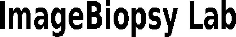 IMAGEBIOPSY LAB
