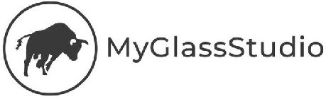 MYGLASSSTUDIO