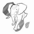 Image Trademark