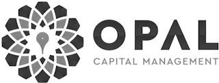 OPAL CAPITAL MANAGEMENT