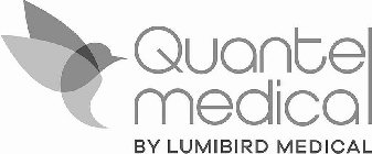 QUANTEL MEDICAL BY LUMIBIRD MEDICAL