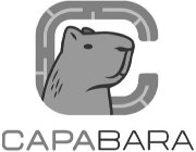 CAPABARA