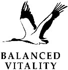 BALANCED VITALITY