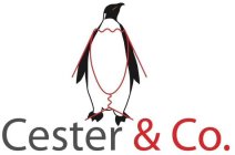 CESTER & CO.