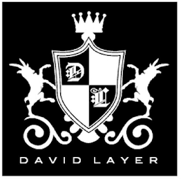 DL DAVID LAYER