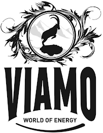 VIAMO WORLD OF ENERGY