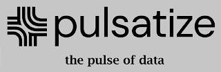 PULSATIZE THE PULSE OF DATA