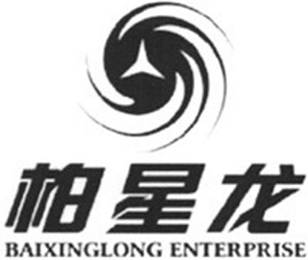 BAIXINGLONG ENTERPRISE