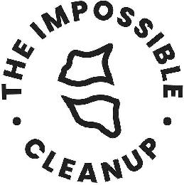 THE IMPOSSIBLE CLEANUP