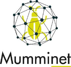 MUMMINET