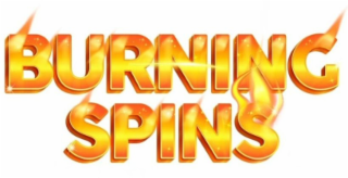 BURNING SPINS