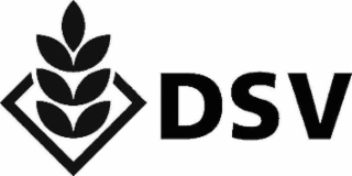 DSV