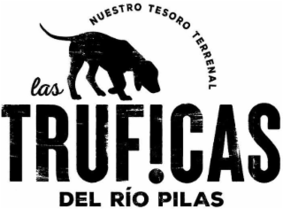 LAS TRUFICAS DEL RIO PILAS NUESTRO TESORO TERRENAL